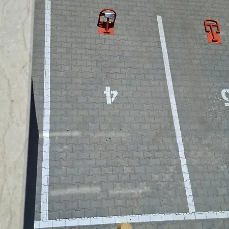 актив спорт гранд Pazargic